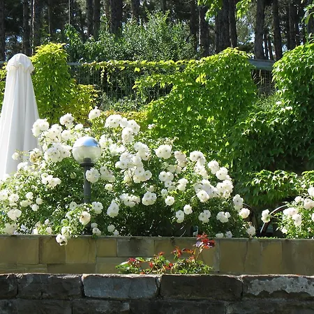 شقة فندقية Milennia Family ساني بيتش